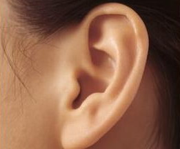 耳廓再造手术费用标准
