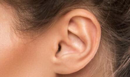 耳朵再造术多少钱