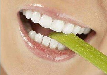 二氧化锆牙齿寿命(二氧化锆牙齿的使用寿命)