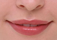 唇形科的主要特征是什么