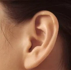 耳垂和耳骨的护理