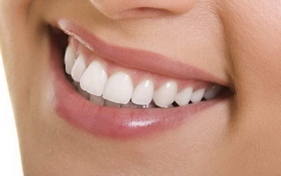 牙齿桥体的类型
