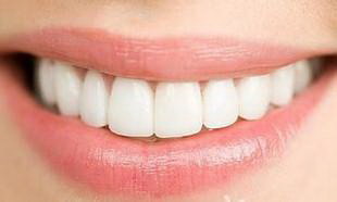 人体最多有多少颗牙齿