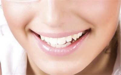 牙齿主要有什么组成(牙齿主要是什么成分组成的)